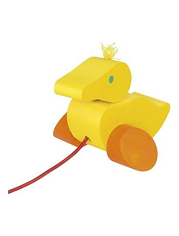 Canard à tirer
