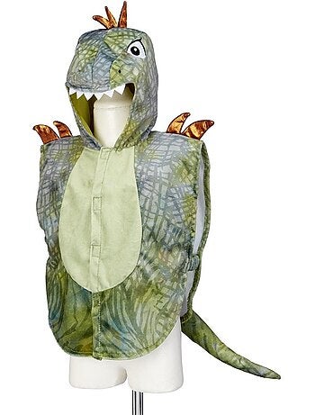 Cape de dinosaure pour 2 ans