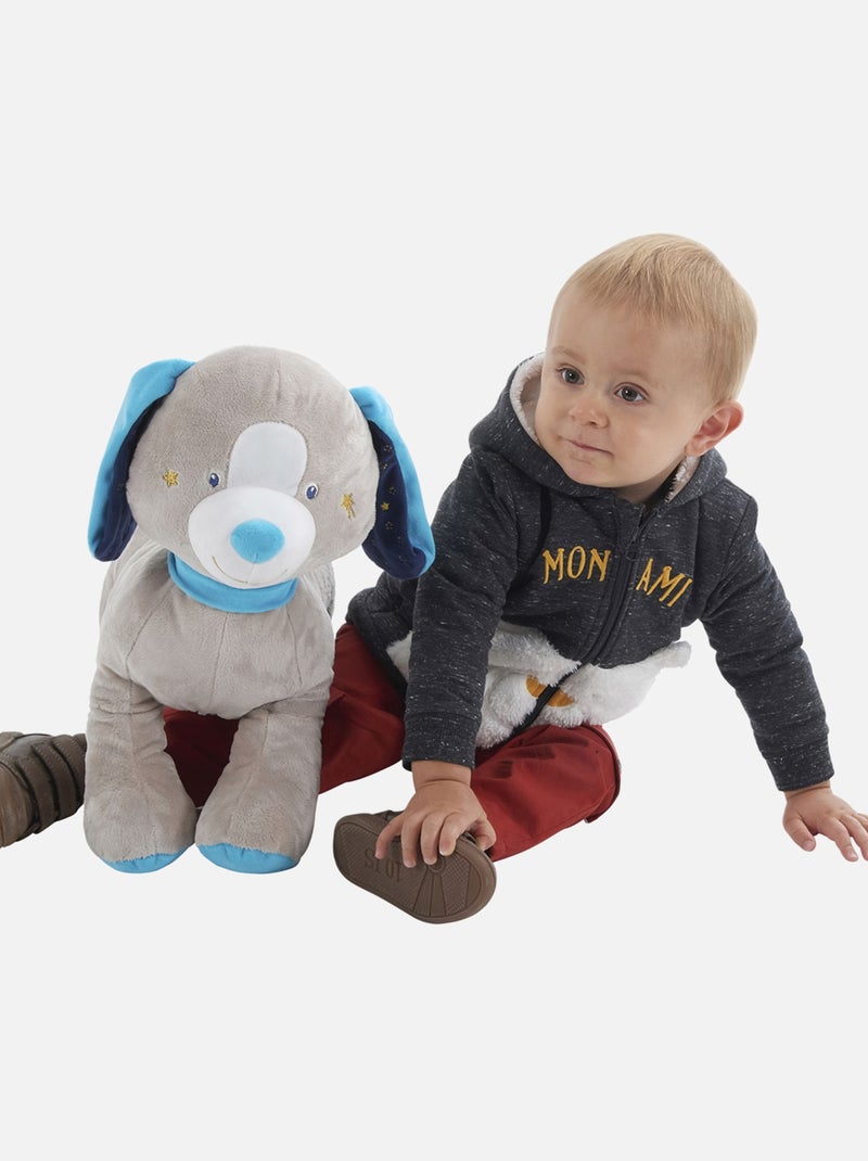 CARDIGAN BERDAN Gris - Kiabi