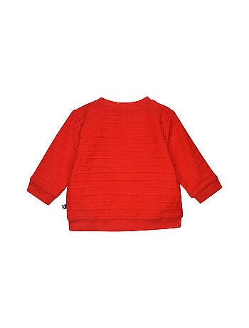 Cardigan modèle Ricardo Sucre d'Orge