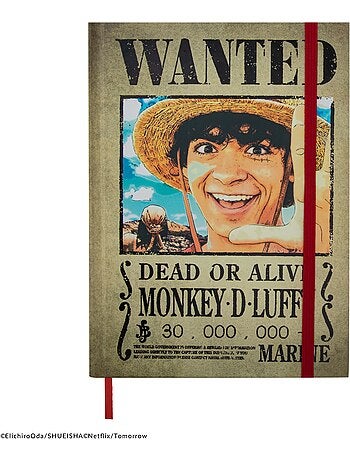 Carnet Avis de Recherche - One Piece