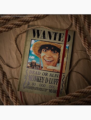 Carnet Avis de Recherche - One Piece