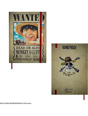 Carnet Avis de Recherche - One Piece
