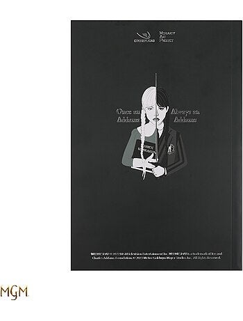Carnet Mercredi et son violoncelle - Mercredi