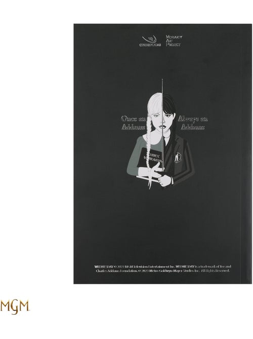 Carnet Mercredi et son violoncelle - Mercredi - Kiabi