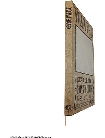 Carnet Wanted Mirroir - One Piece