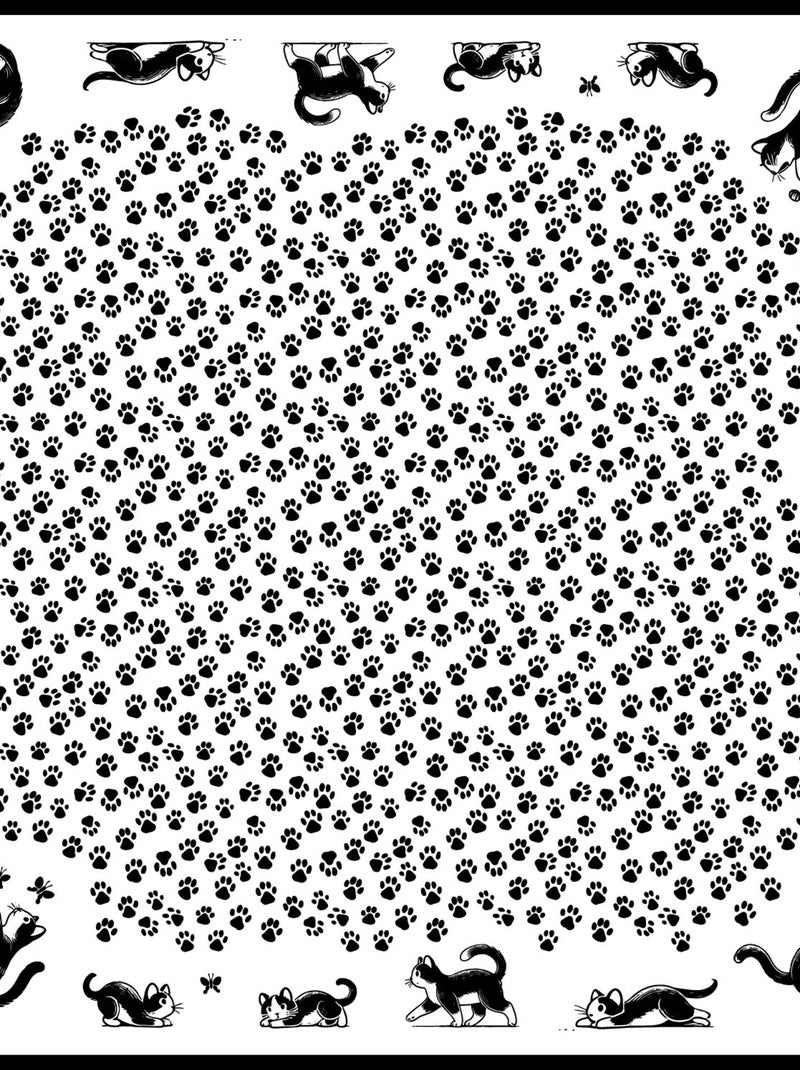 Carré de Soie Prémium Funny Cats - 65 x 65 cm Noir - Kiabi