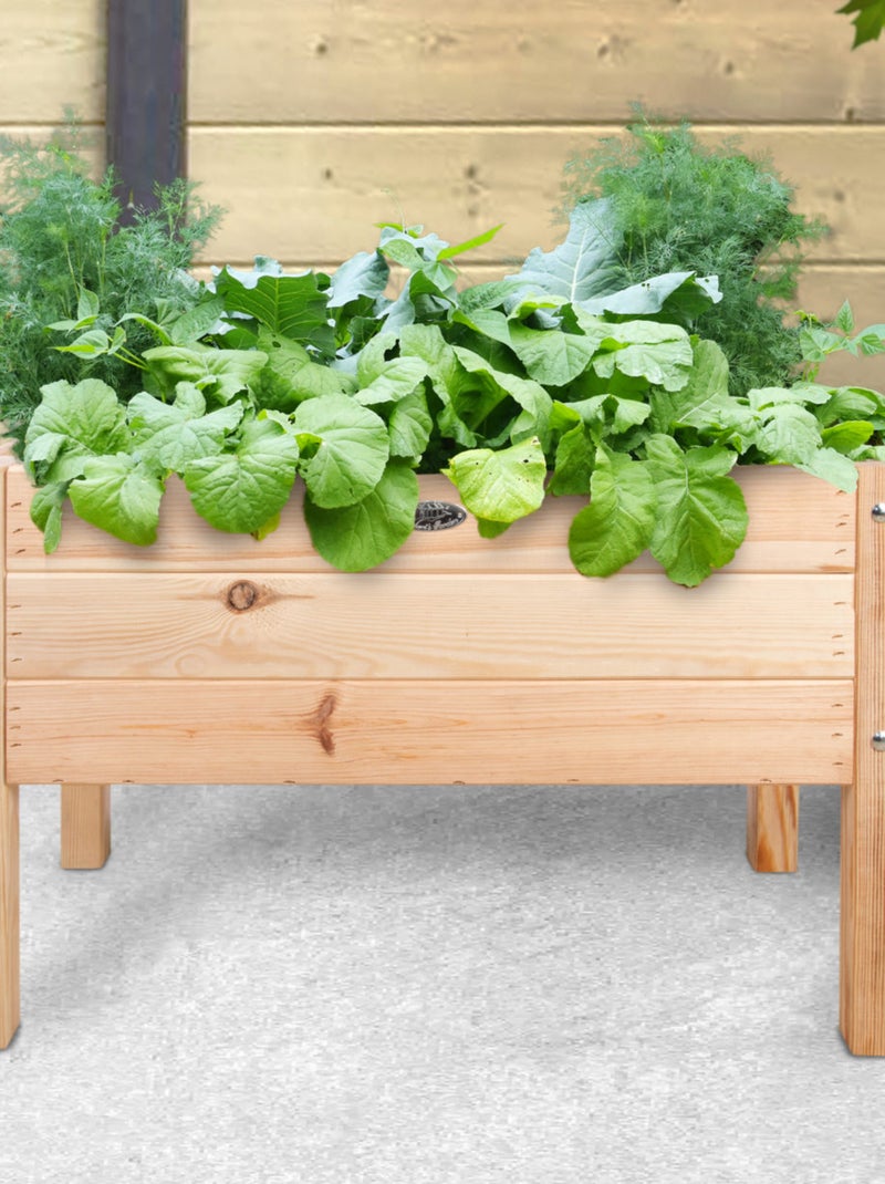 Carré potager pour enfant Beige - Kiabi