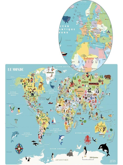 Carte du Monde magnétique Ingela P. Arrhenius - Kiabi