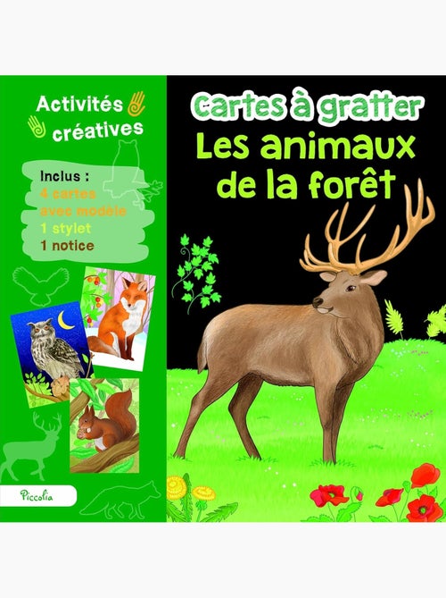 Cartes à gratter Les animaux de la forêt - Kiabi