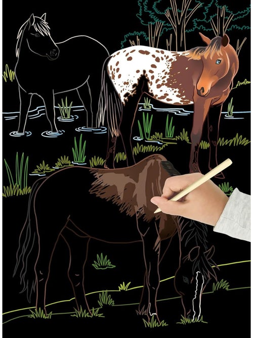 Cartes à gratter Les chevaux - Kiabi Cartes à gratter Les chevaux - Kiabi