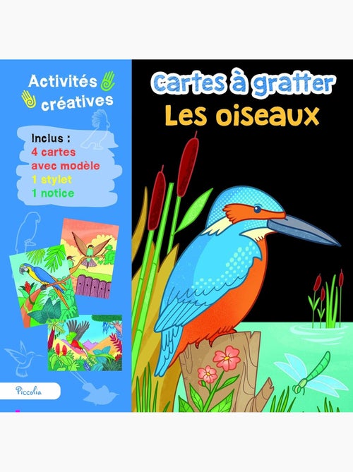 Cartes à gratter Les oiseaux - Kiabi