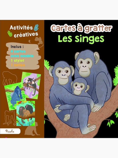 Cartes à gratter Les singes - Kiabi