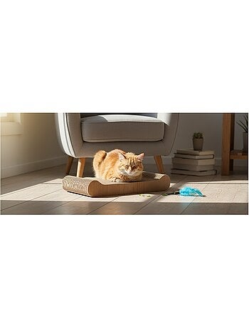 Carton a griffer pour chat woka double face
