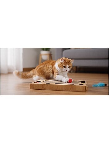 Carton et jeu a griffer pour chat 45 x 25 cm