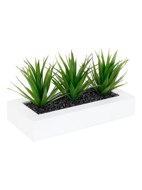 Centre de table 3 Aloe vera artificielles - H.17 cm - Kiabi