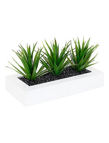 Centre de table avec 3 plantes aloe vera artificielles