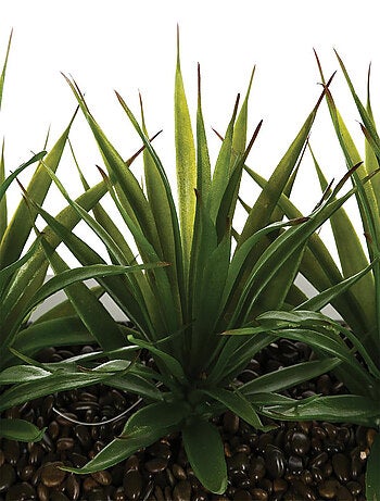 Centre de table avec 3 plantes aloe vera artificielles