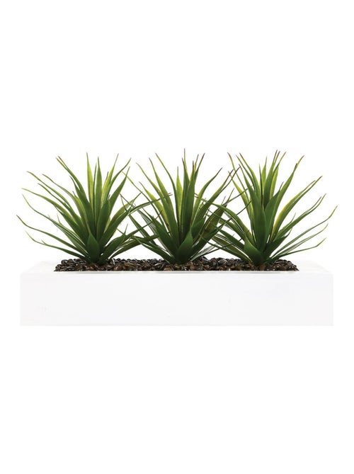 Centre de table avec 3 plantes aloe vera artificielles - Kiabi Centre de table avec 3 plantes aloe vera artificielles - Kiabi