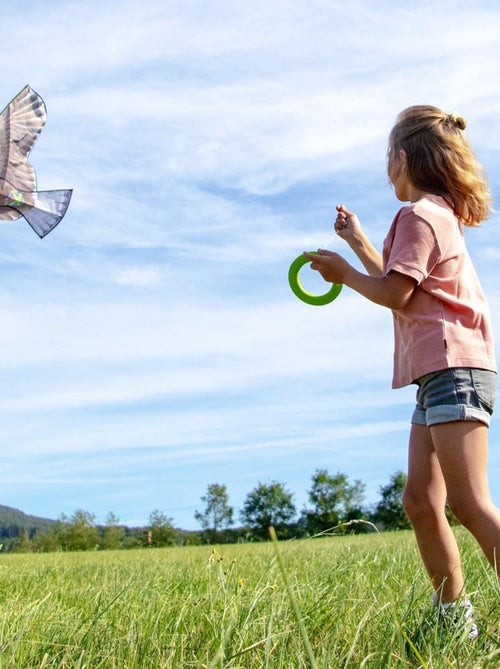 Cerf-volant aigle - Kiabi