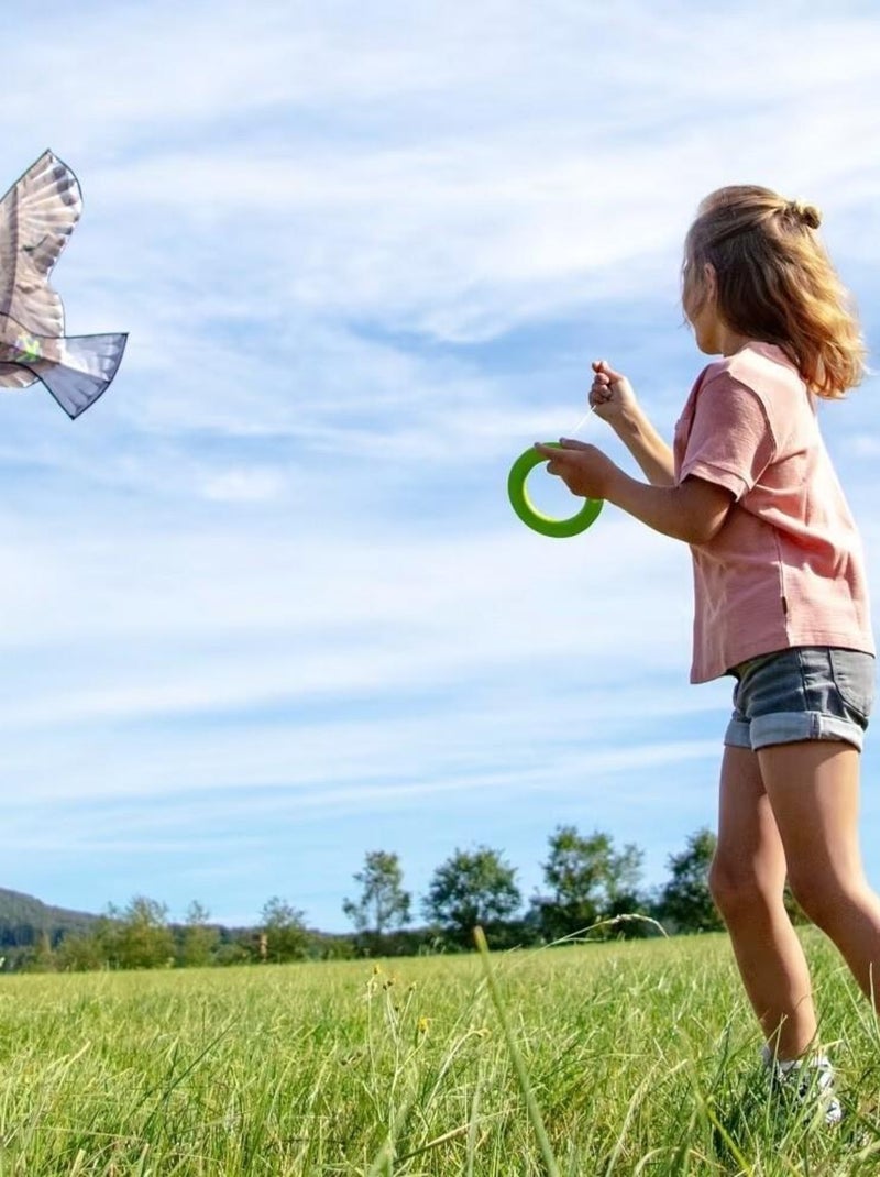 Cerf-volant aigle Marron - Kiabi