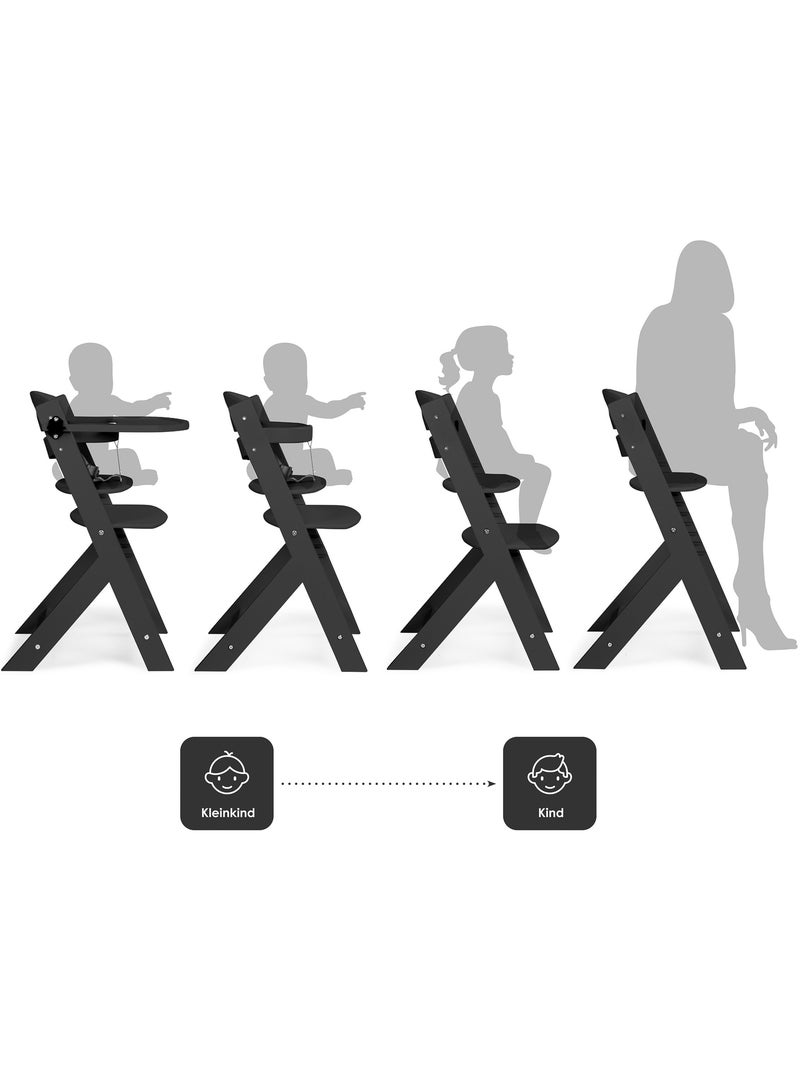 Chaise haute Family PRO avec table - babyGo Noir - Kiabi