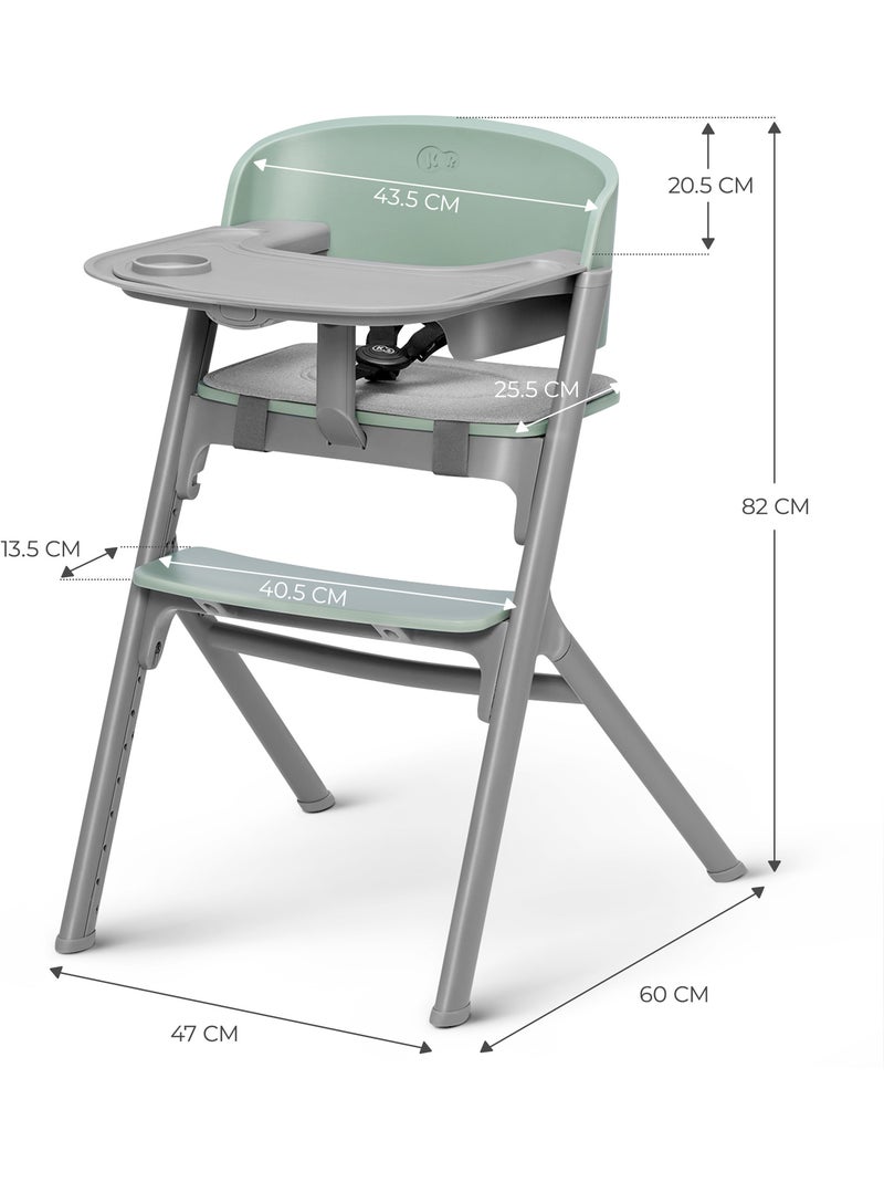 Chaise Haute Kinderkraft LIVY 3 en 1 Évolutive jusqu’à 110 kg avec Siège et Repose-Pieds Réglables Gris - Kiabi