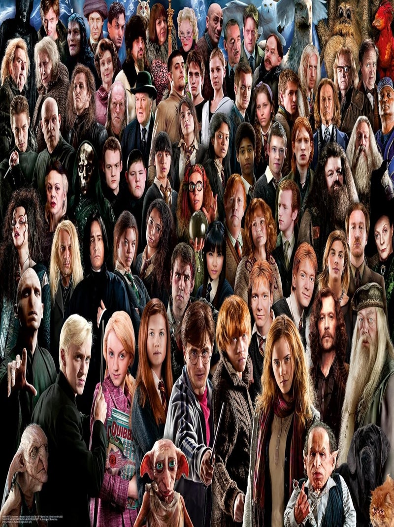 Challenge Puzzle Harry Potter 1000 pièces N/A - Kiabi
