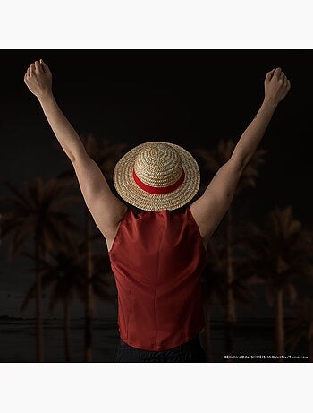 Chapeau de paille de luffy - one piece