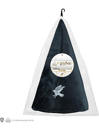 Chapeau d'étudiant Serdaigle - Harry Potter