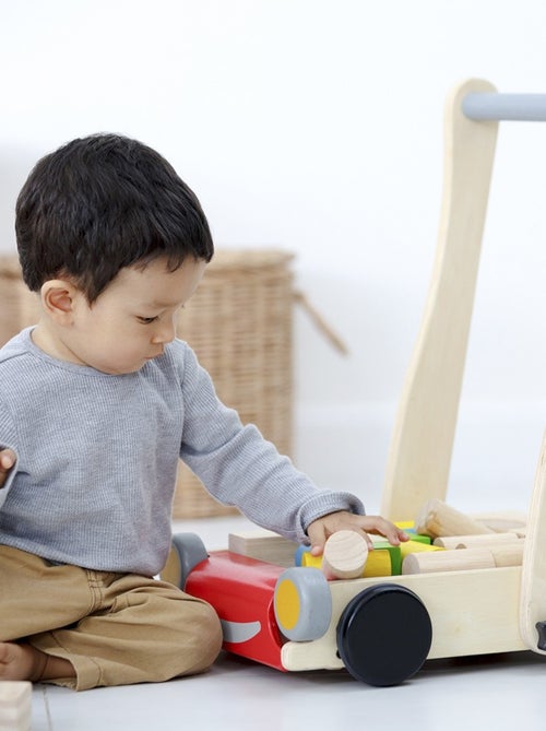 Chariot de marche avec cubes - Kiabi