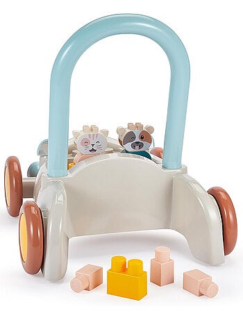 Chariot Pousseur - Ecoiffier