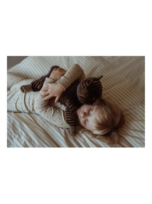 Chat en peluche lesté 1,2 kg - Kiabi