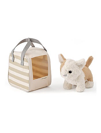 Chat et sac de transport