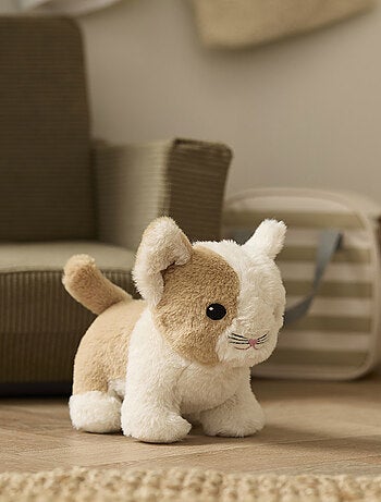 Chat et sac de transport
