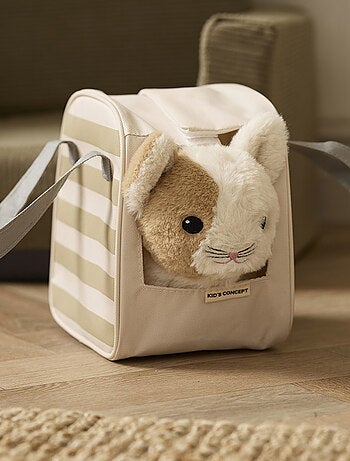 Chat et sac de transport