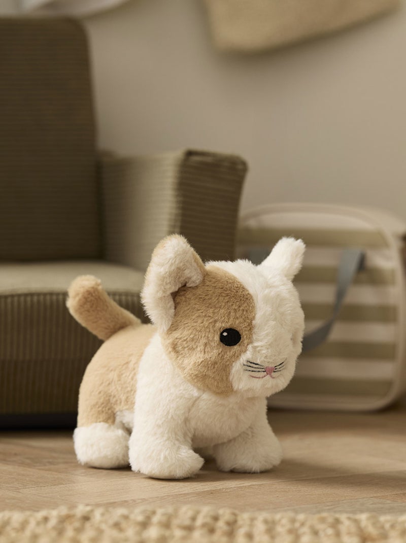 Chat et sac de transport Multicolore - Kiabi