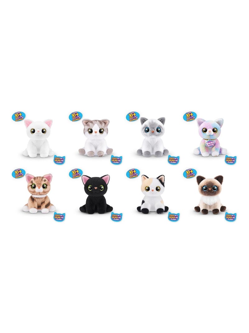 Chatons de Pets Alive Rose - Kiabi
