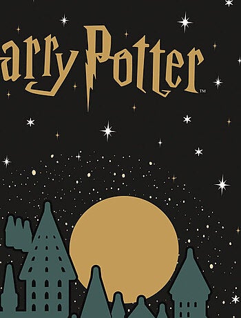 Chaussette de Noël - Harry Potter