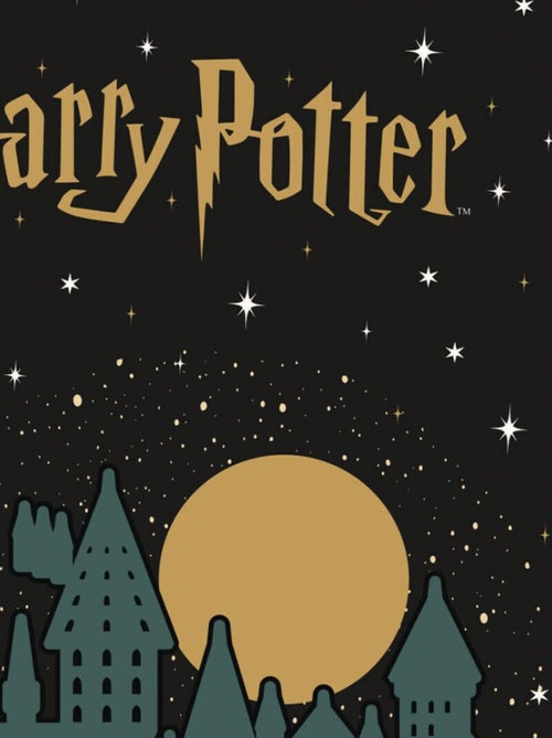 Chaussette de Noël - Harry Potter - Kiabi
