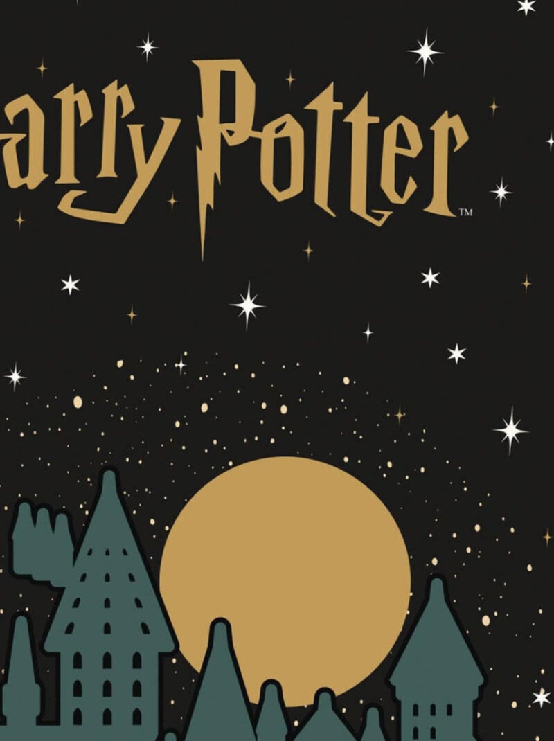 Chaussette de Noël - Harry Potter Multicolore - Kiabi