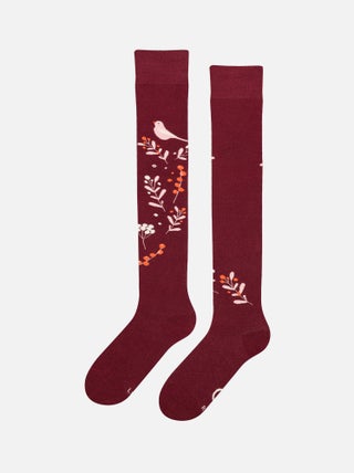 Chaussettes au-dessus des genoux Oiseaux et Baies