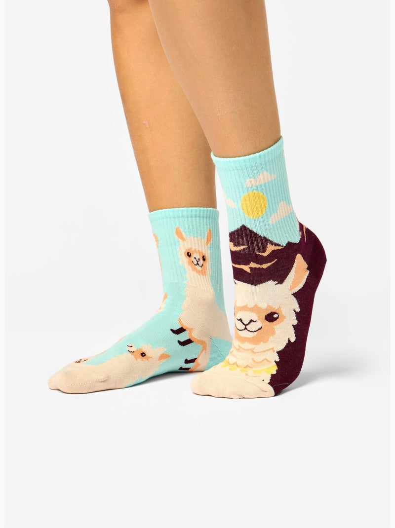 Chaussettes Courtes Alpaga Turquoise - Kiabi