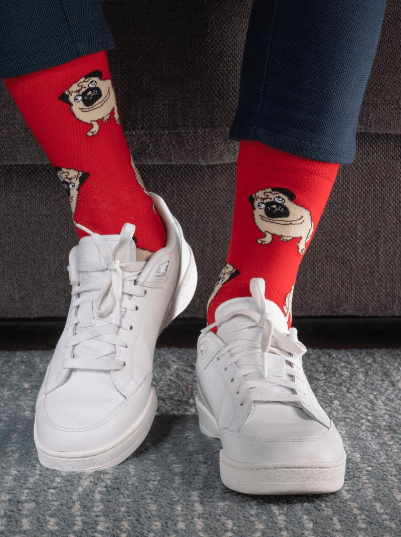 Chaussettes En Coton Chien Bouledogue- SockUp- 39-46 Multicolore - Kiabi