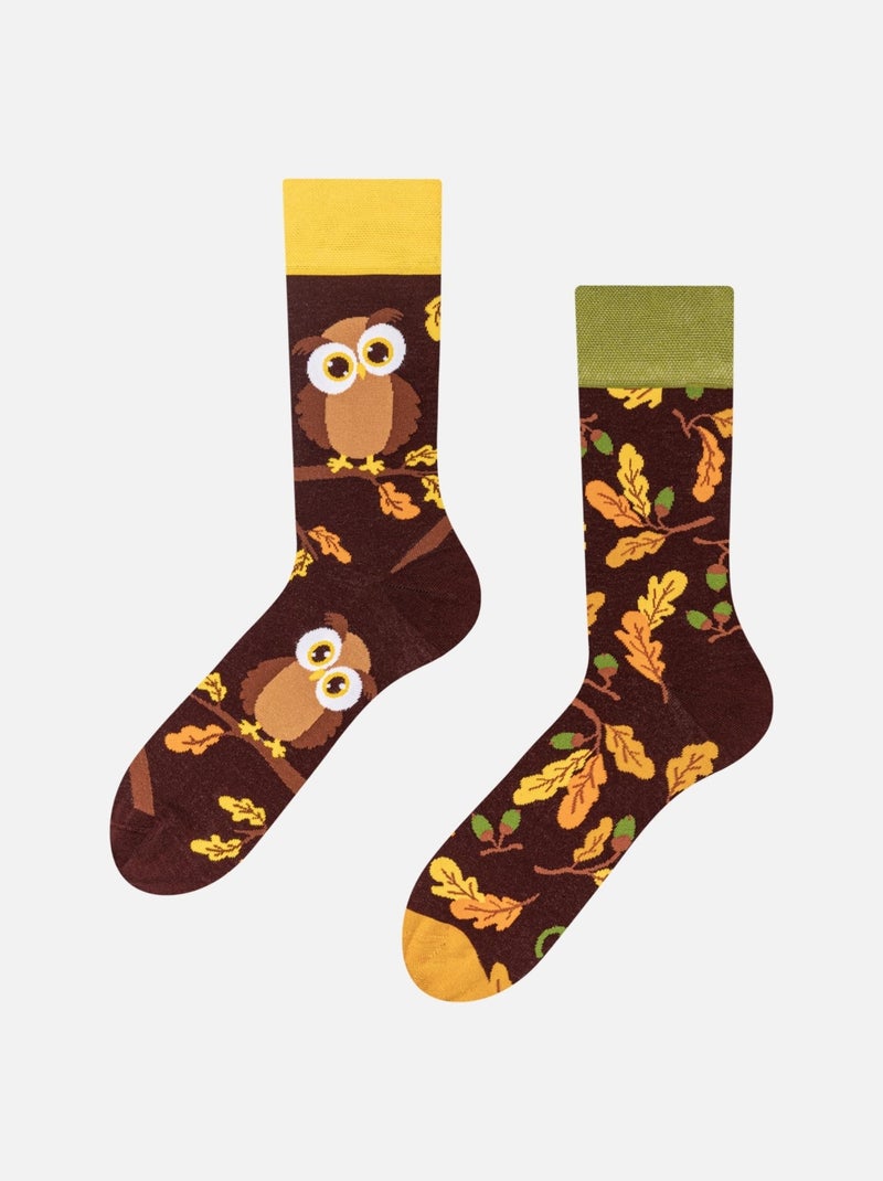 Chaussettes Hibou Curieux Marron - Kiabi