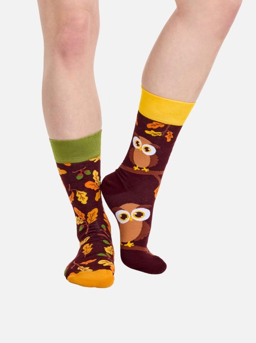 Chaussettes Hibou Curieux - Kiabi
