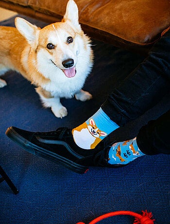 Chaussettes Many Mornings Corgi Joueur
