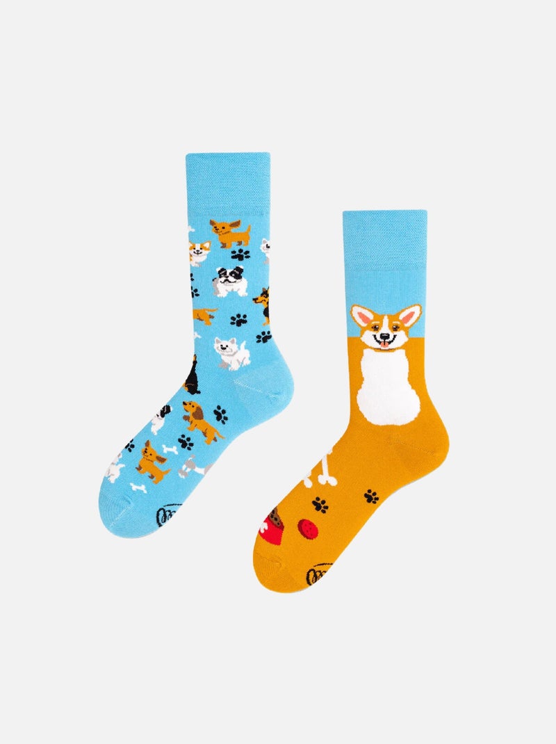 Chaussettes Many Mornings Corgi Joueur Bleu clair - Kiabi