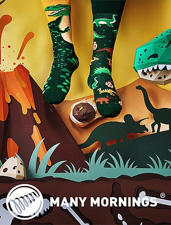 Chaussettes Many Mornings Les Dinosaures