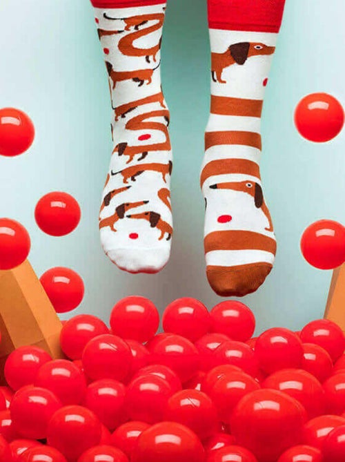 Chaussettes Many Mornings Teckel Saucisse - Kiabi